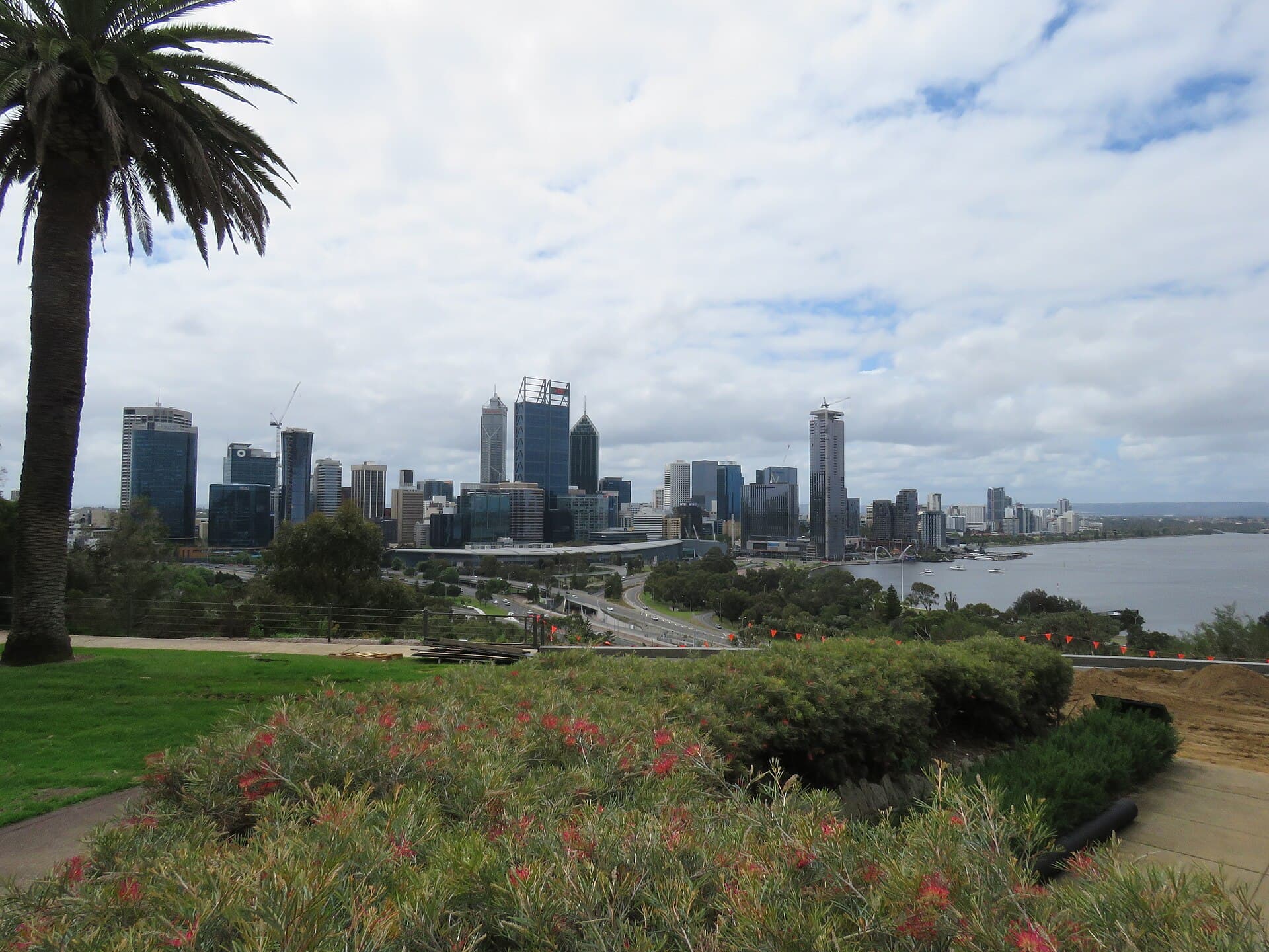 The Perth skyline seen from Kings Park